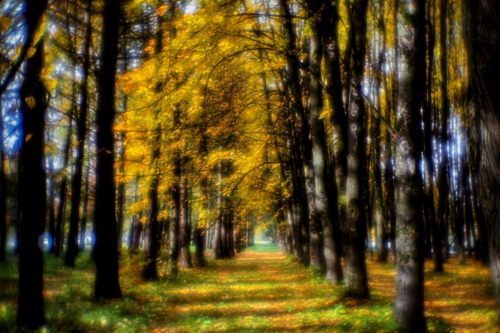 Photograph by Анатолий Веремеев