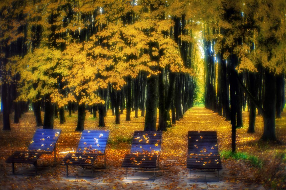 Photograph by Анатолий Веремеев