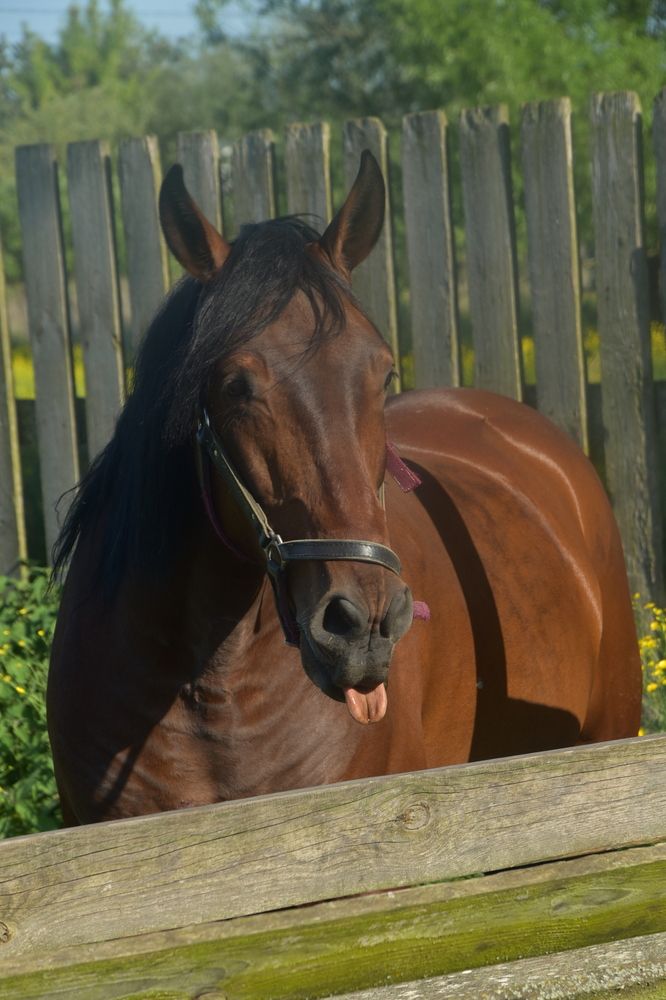 Photograph by Dimon Grinih