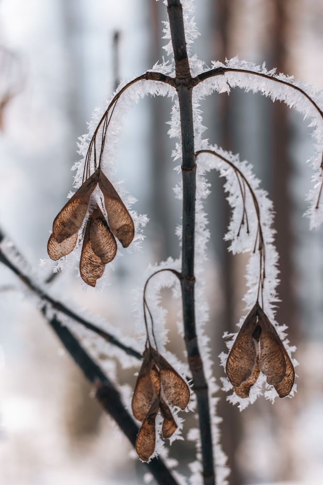 Photograph by Юлия Соболева