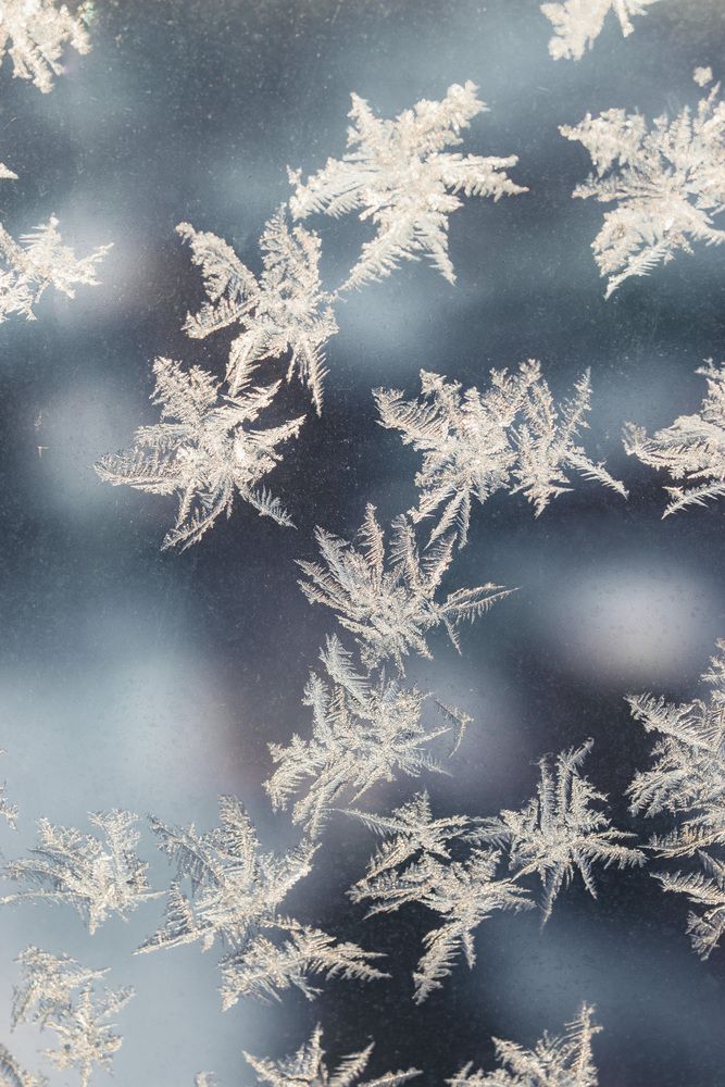 Photograph by Юлия Соболева