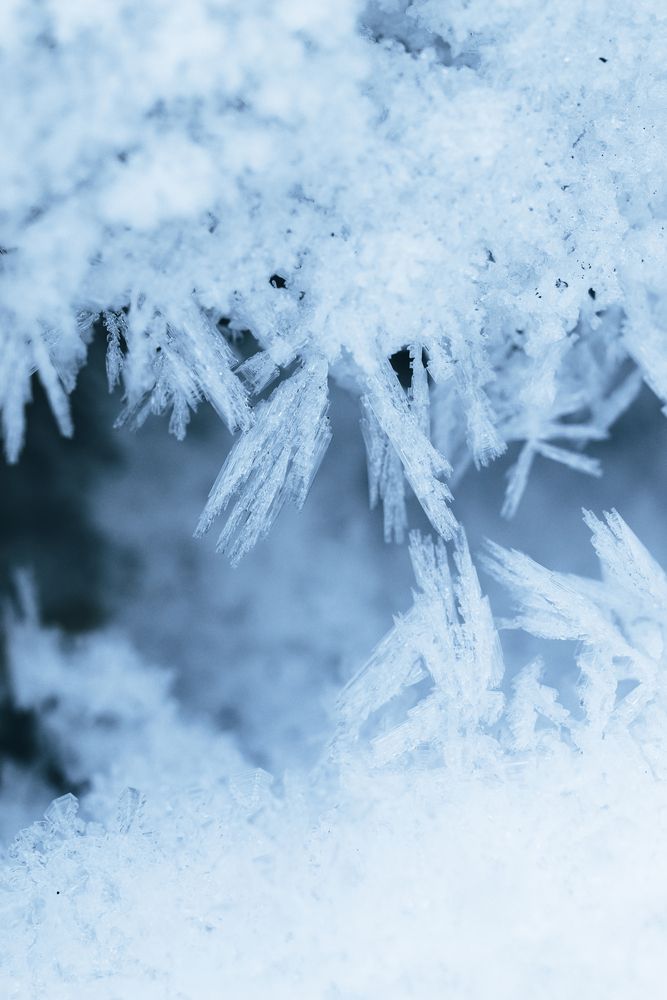 Photograph by Юлия Соболева