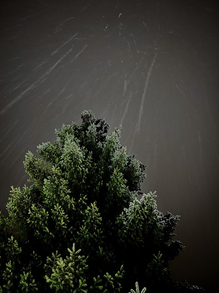 Photograph by Динара