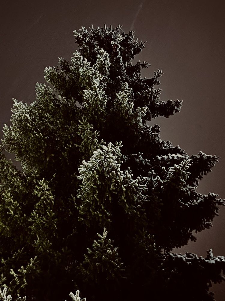 Photograph by Динара