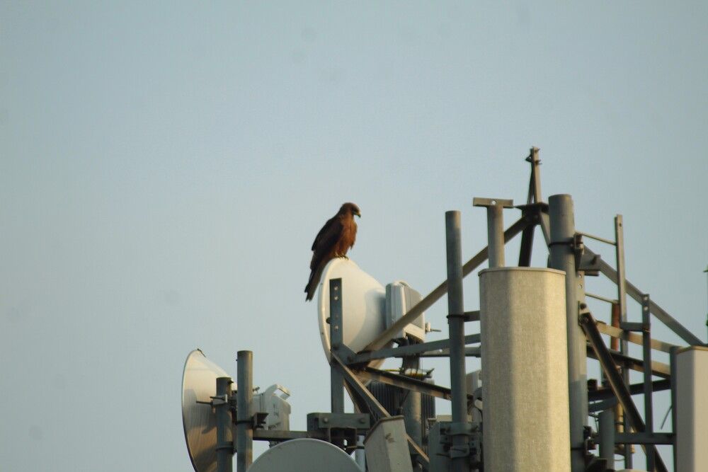 Фотография автора Nadarajan Lakshmanswamy