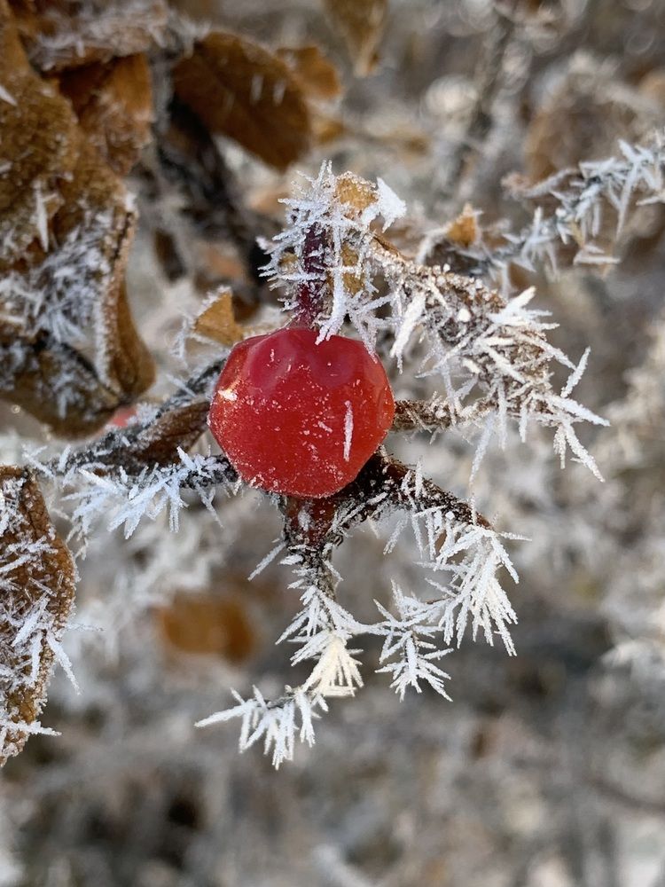 Photograph by Наталья Бирук