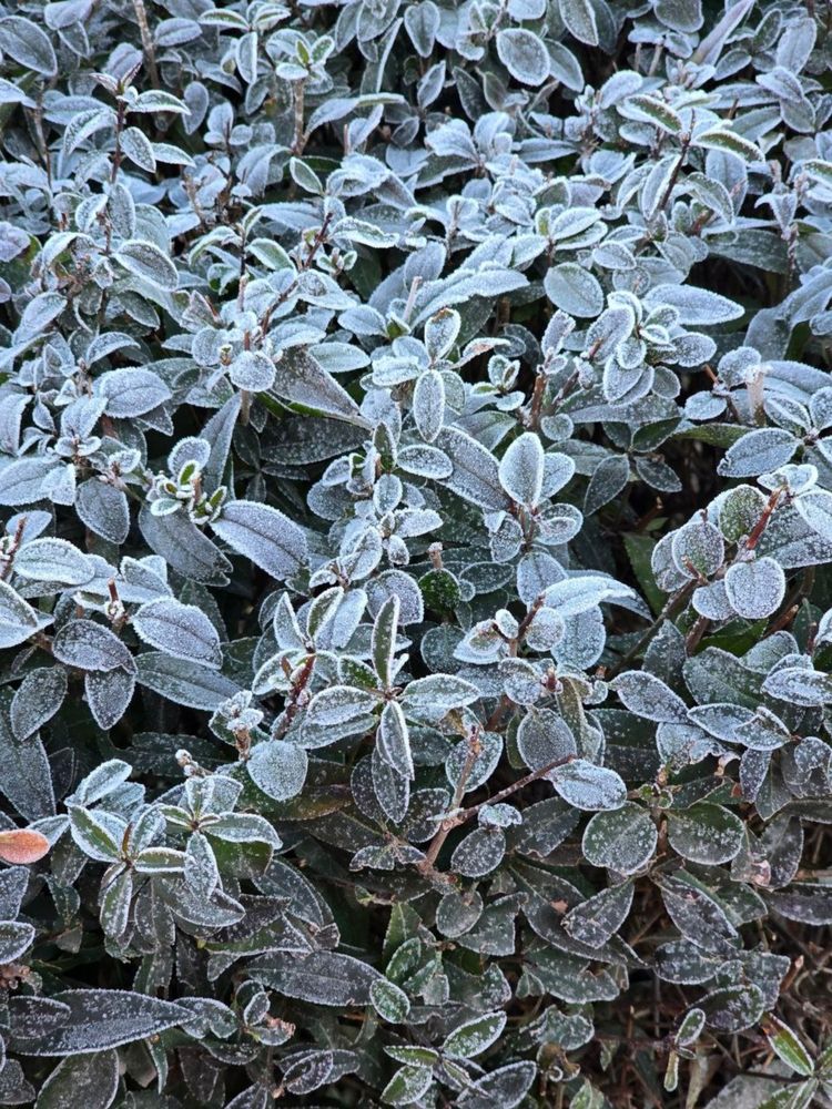 Photograph by Юлия Ханналайнен