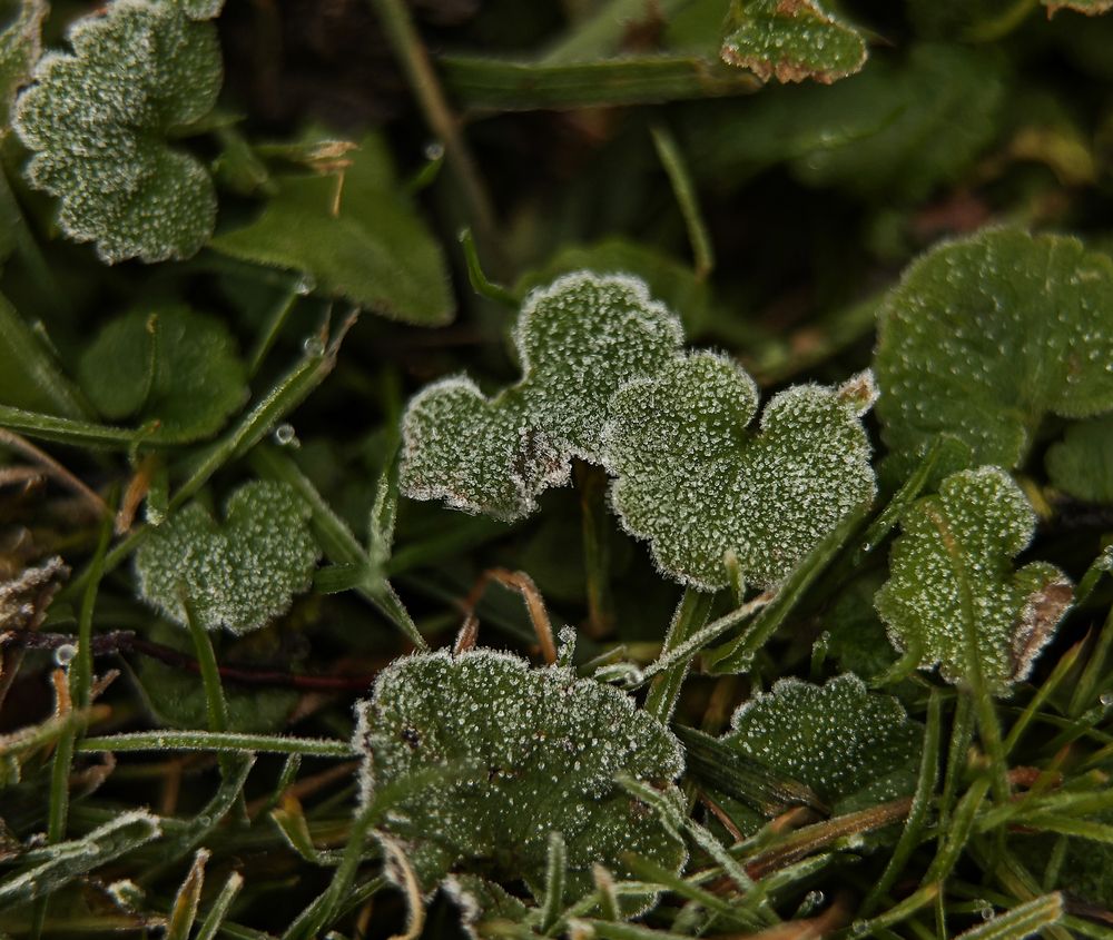 Photograph by Елена Одынец