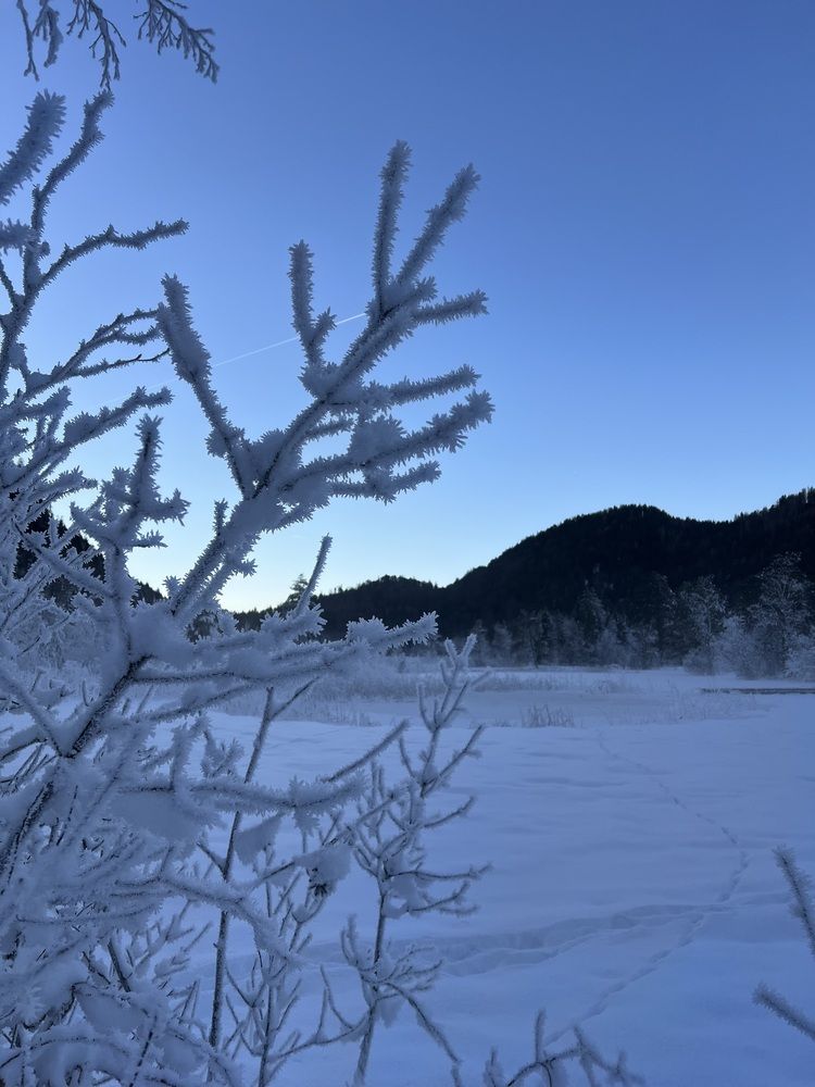 Фотография автора Veronika Lemke