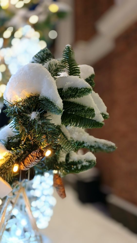 Фотография автора Татьяна Савранчук