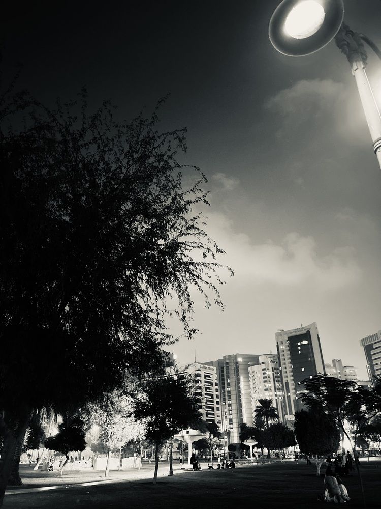 A Lamp for the Unspoken