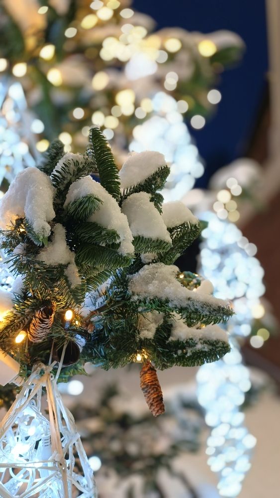 Фотография автора Татьяна Савранчук