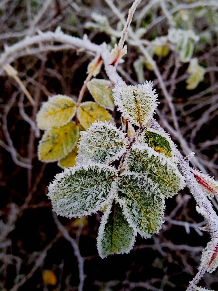 Photograph by Татьяна Солтан