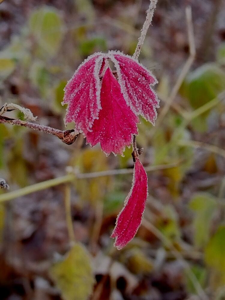 Photograph by Татьяна Солтан