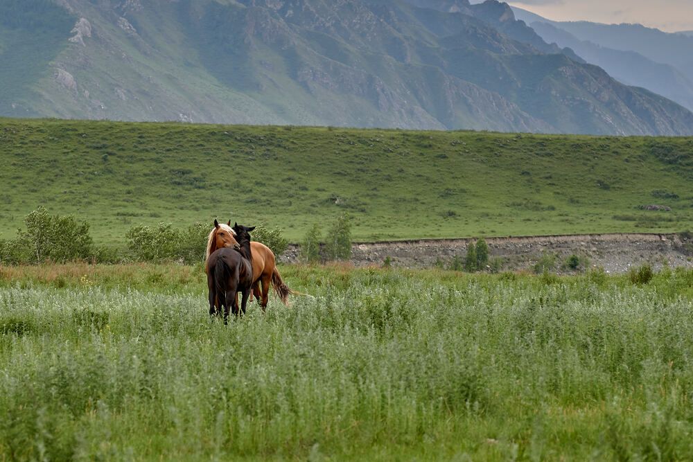 Фотография автора Владимир Малевич