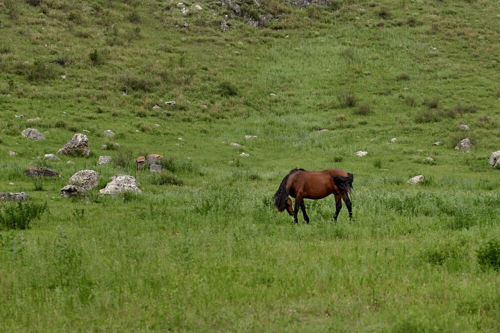 Фотография автора Владимир Малевич