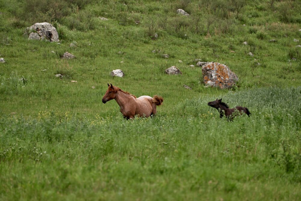 Фотография автора Владимир Малевич