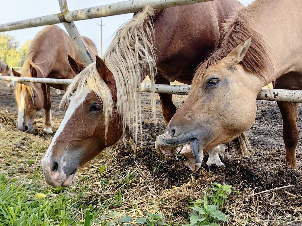 Photograph by Анастасия Кременчугская