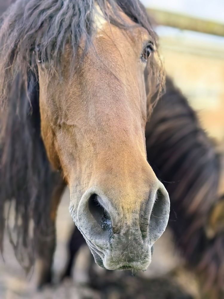 Photograph by Анастасия Кременчугская