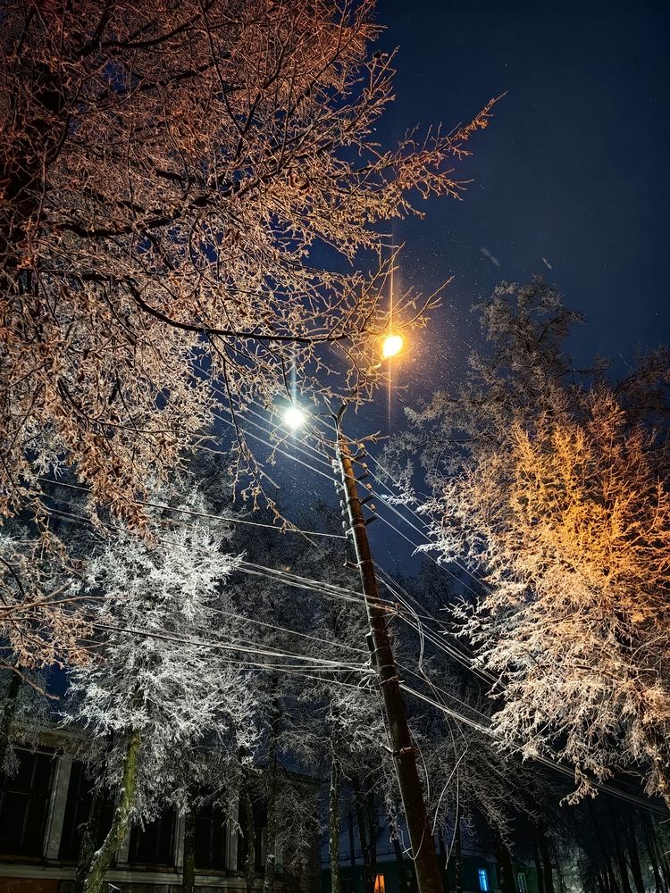 Photograph by Марина Побережная