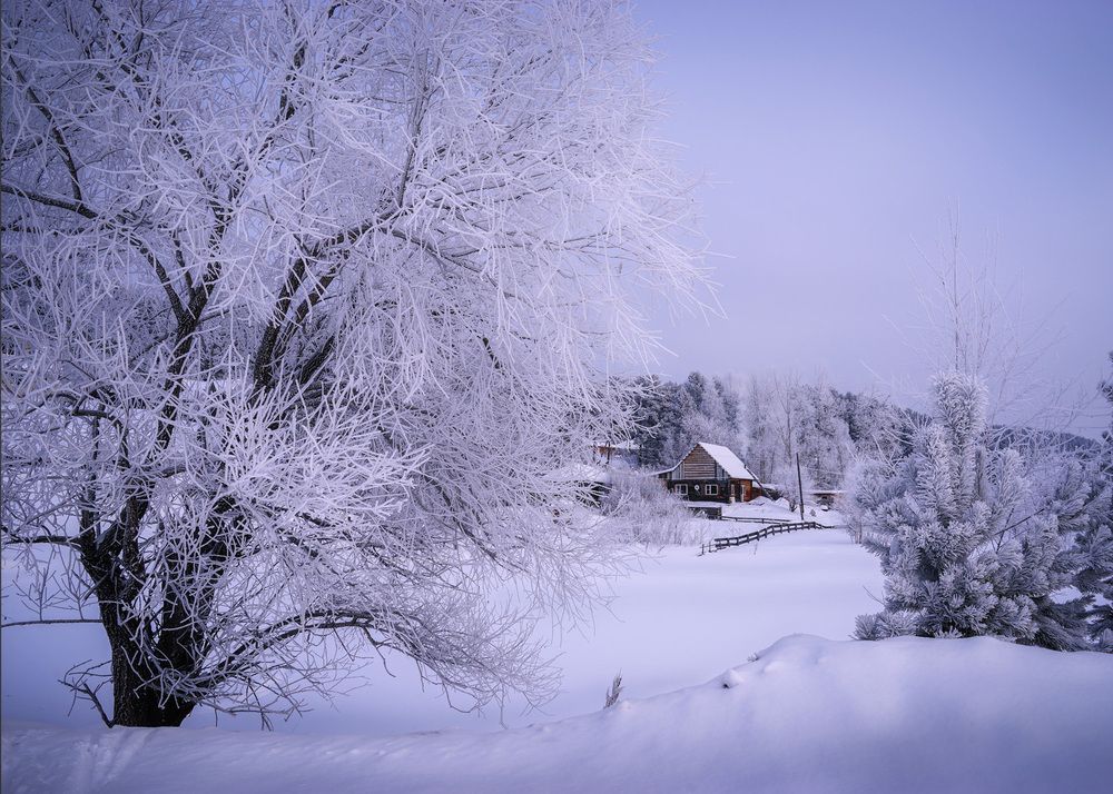 Фотография автора Татьяна Добровольская