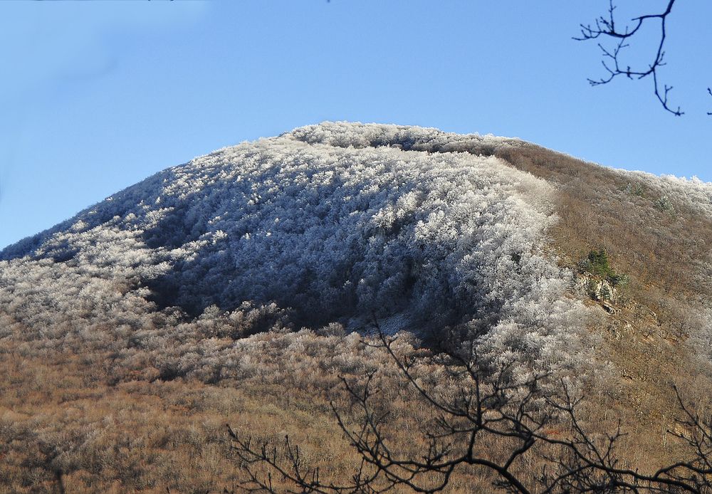 Photograph by Евгений Самулев