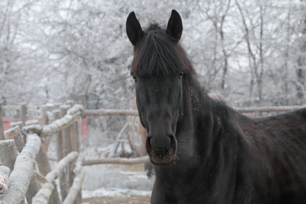 Photograph by Лебедев Юрий-Александрович