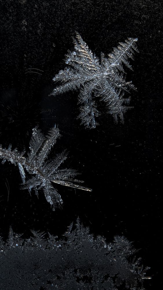 Photograph by Iryna Usanova