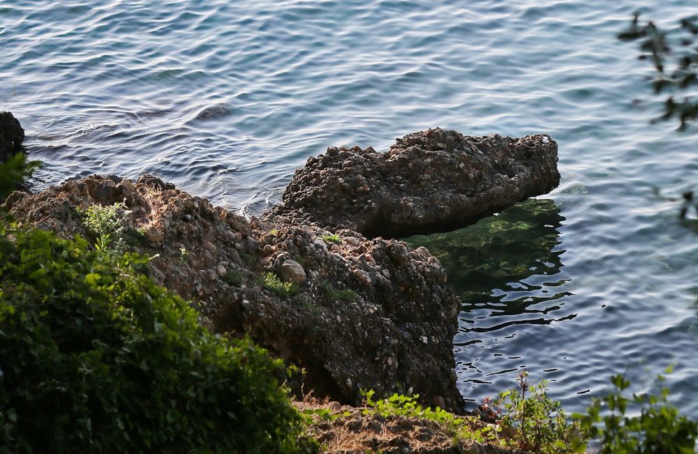 Photograph by Андрей Стародубцев