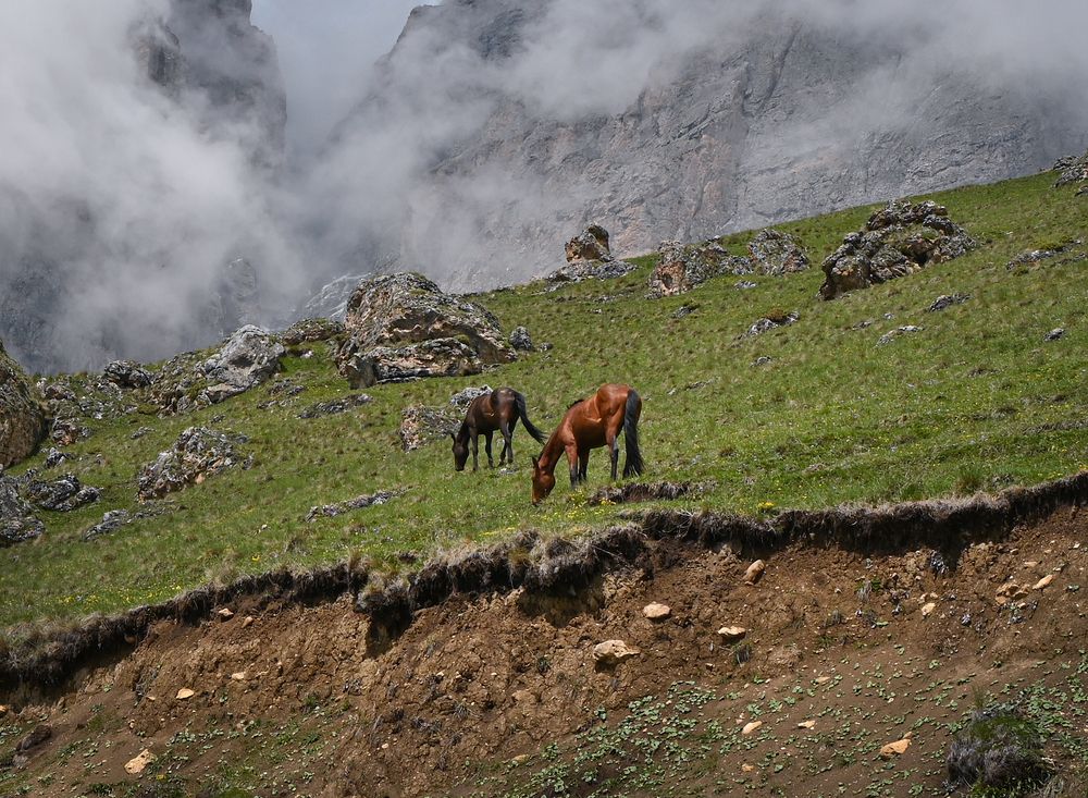 Фотография автора Inna Ivanova