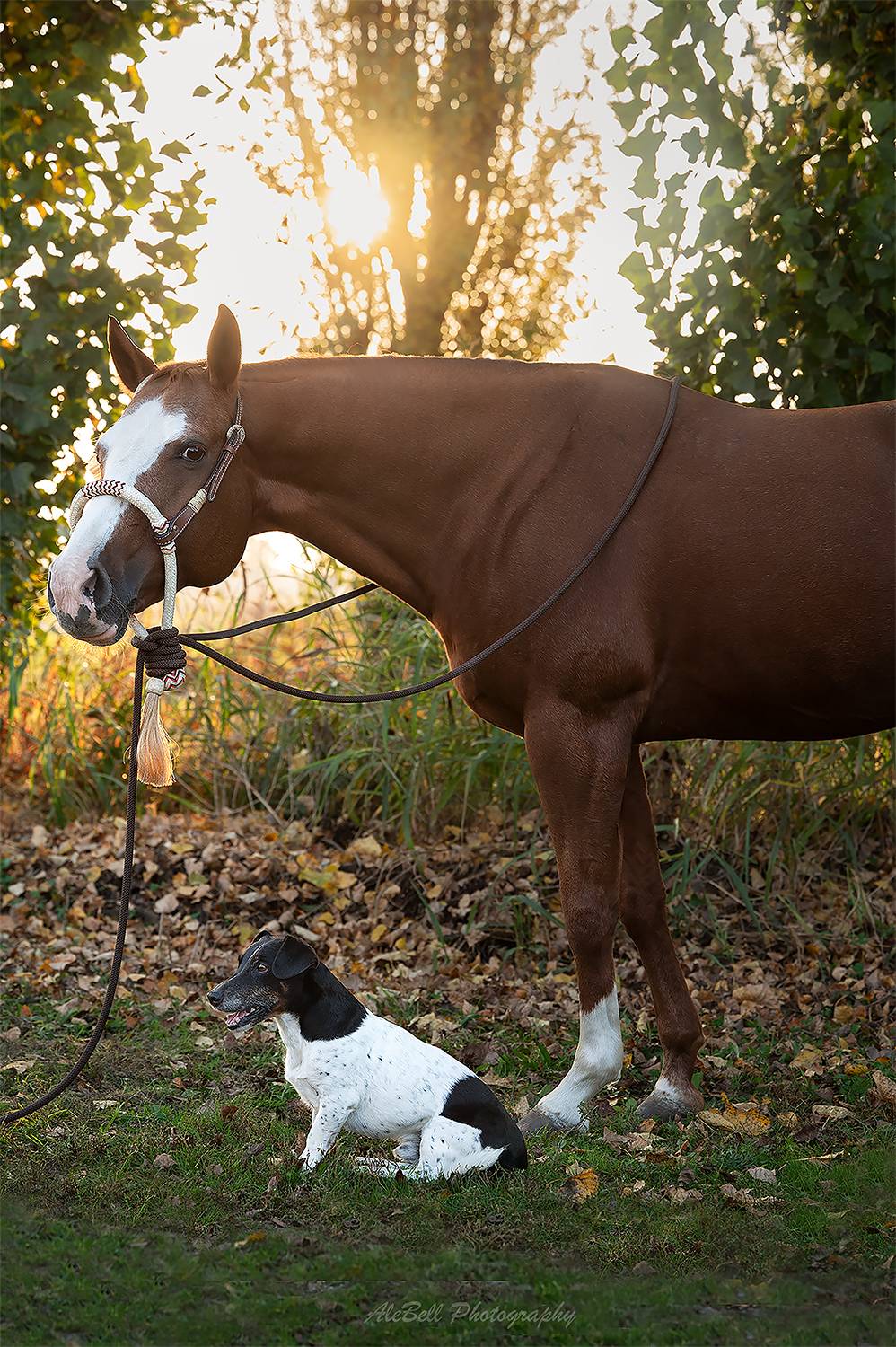 Friendship Friendship