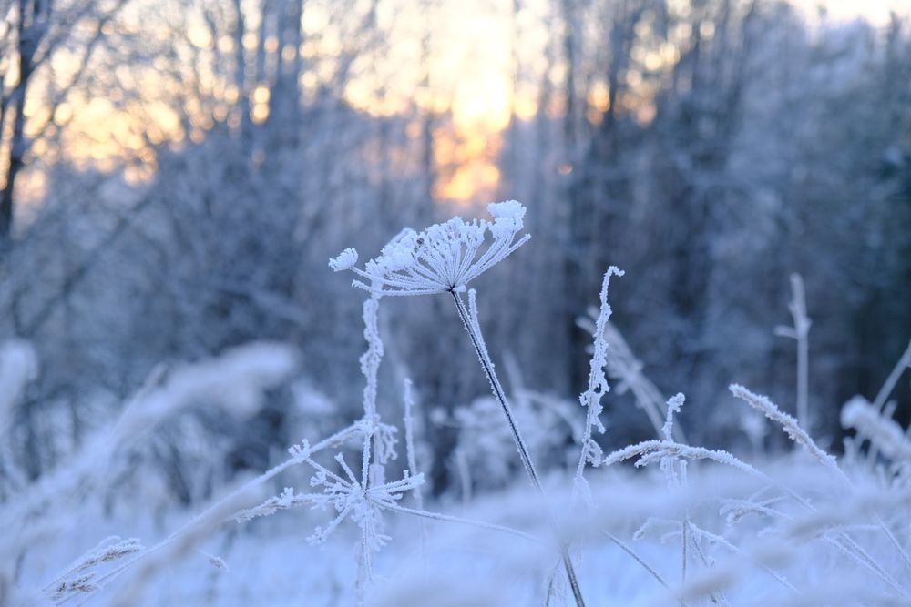 Photograph by Надежда Кангина