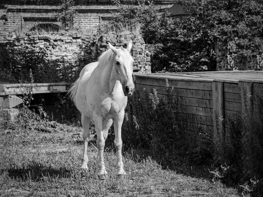 Photograph by Денис Кичев