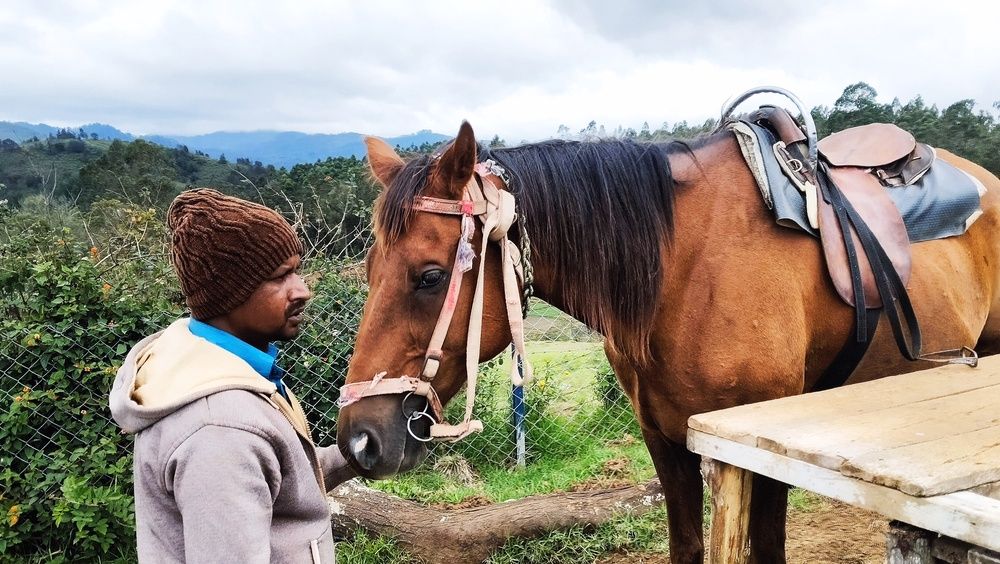 Фотография автора Captured Chronicles