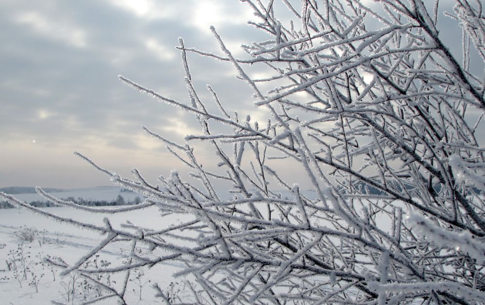 Когда ударили морозы