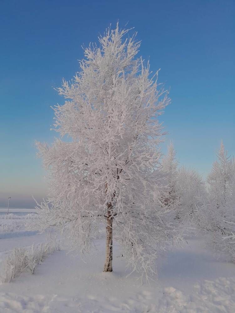 Photograph by Виталий Глазачев