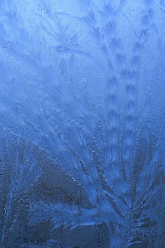 Photograph by Орл Про