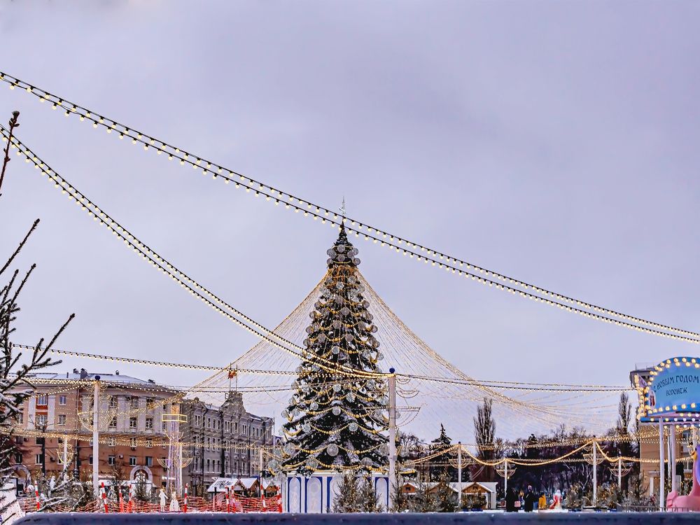 Новогодняя елка