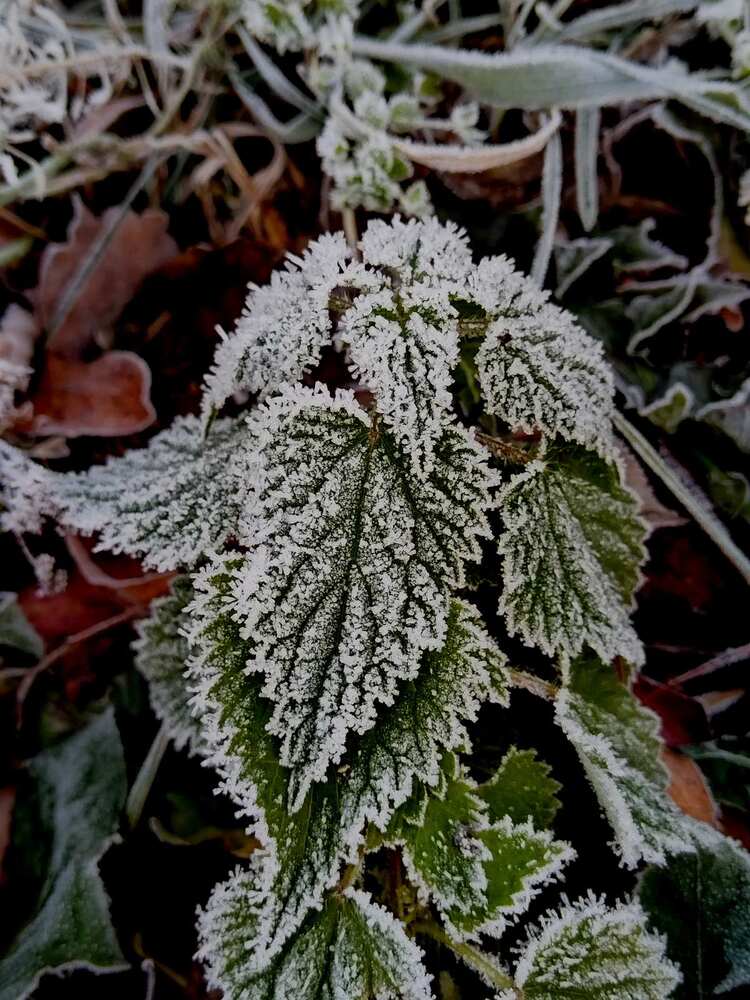 Photograph by Татьяна Солтан