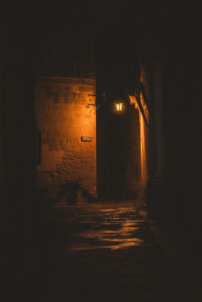 Photograph by Kononov Anatolii