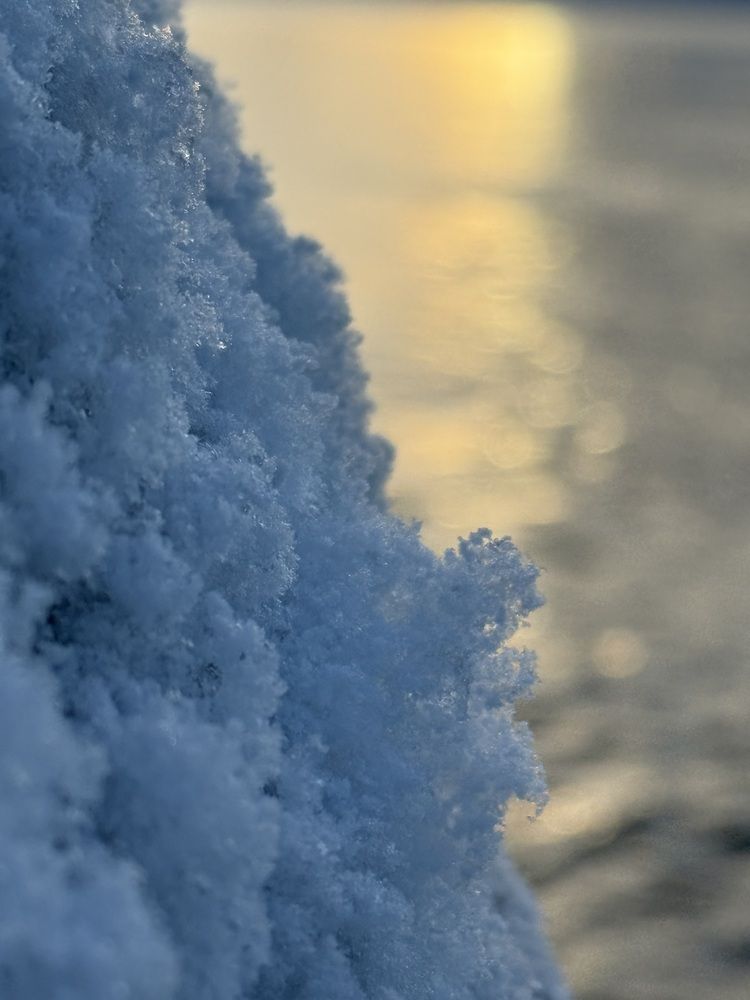 Photograph by Бондаренко Светлана