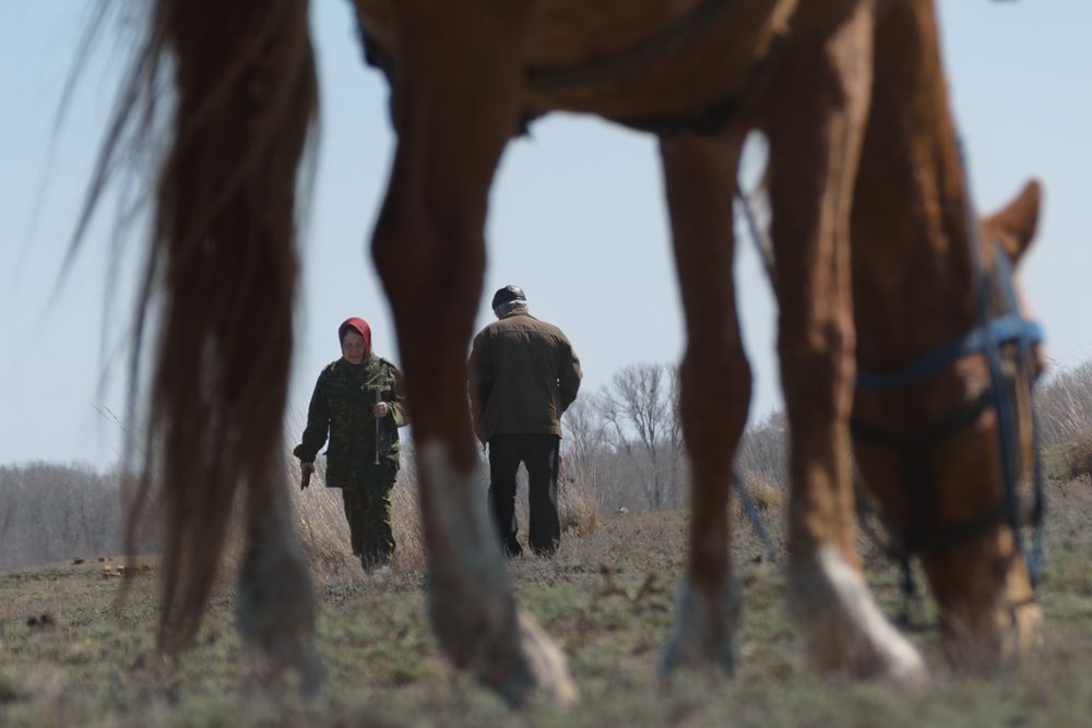 Фотография автора Светлана Артюшина