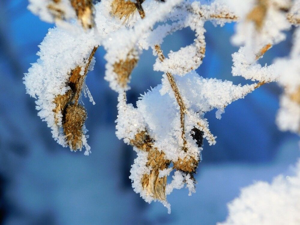 Photograph by Чкареули Светлана