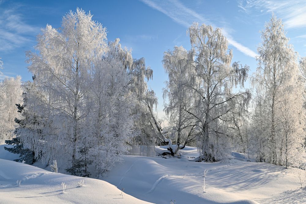 В зимних одеждах