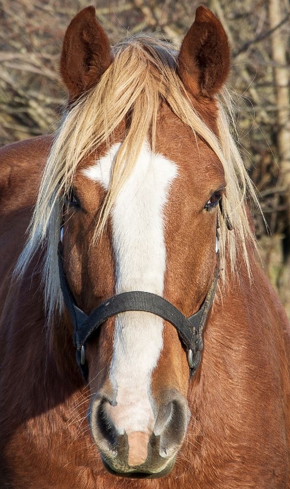 Photograph by Михаил Еремеев