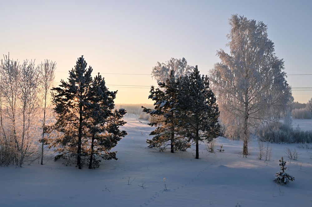 Краски раннего морозного утра