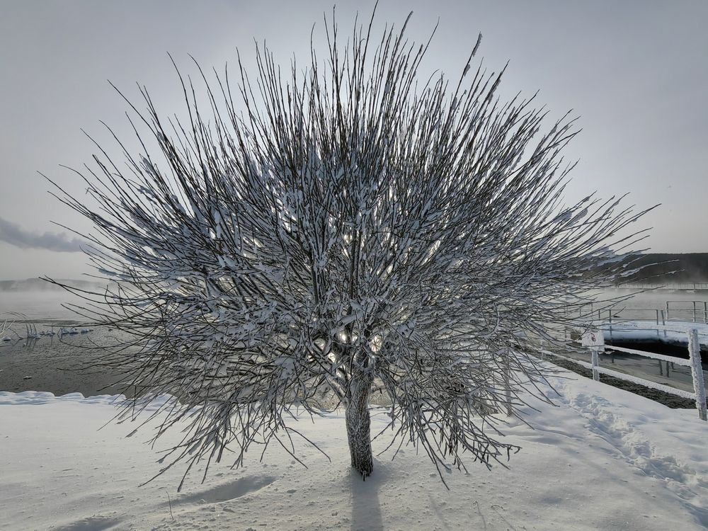 Photograph by Чкареули Светлана