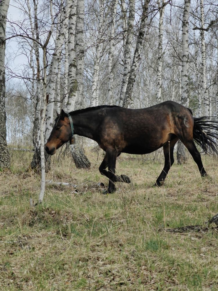 Photograph by Чкареули Светлана