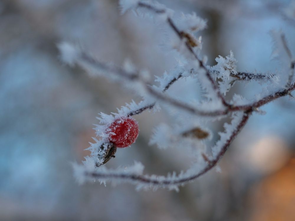 Фотография автора Андрей Шестаков