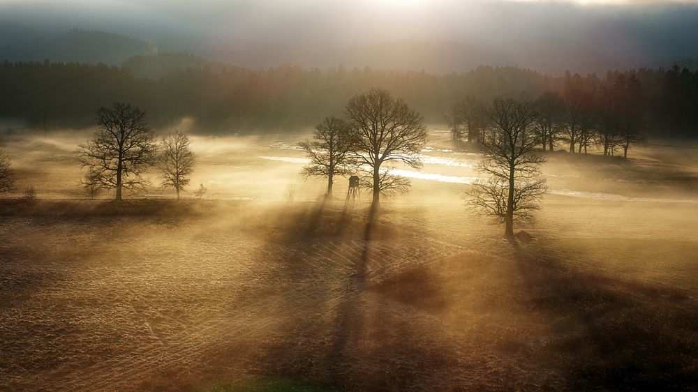 Фотография автора Grzegorz Truchanowicz